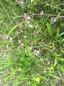 0172c9de484fd1c88dec2836abce39fb7d43b01bb5